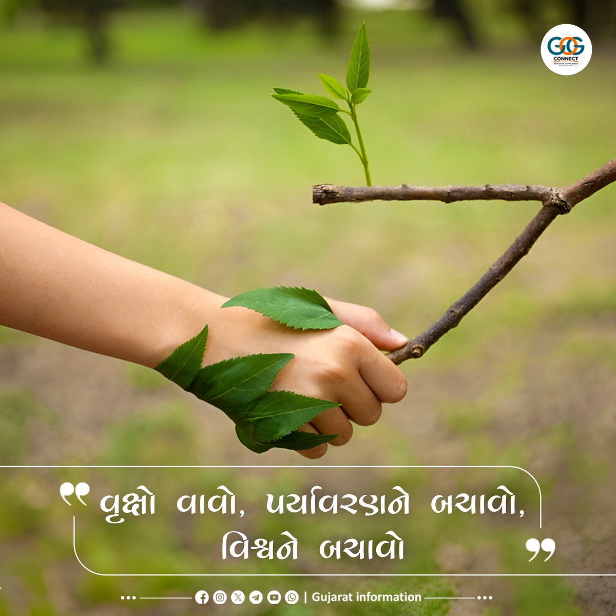 InfoGujarat's tweet photo. વૃક્ષો વાવો, પર્યાવરણને બચાવો, વિશ્વને બચાવો...

#एक_पेड़_मॉं_के_नाम
#GreenGujarat
#WorldEnvironmentDay2026 https://t.co/gtdEvH8SnT