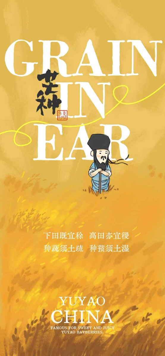 i_yuyao's tweet photo. Grain in Ear arrives in Yuyao! 🌾 As the sun reaches its highest point, the ancient town is bathed in golden light. This solar term marks the busy harvest season in Zhejiang. Wishing everyone a fruitful time ahead! ☀️ #Mangzhong #Yuyao #HarvestSeason https://t.co/7muLzGm7il