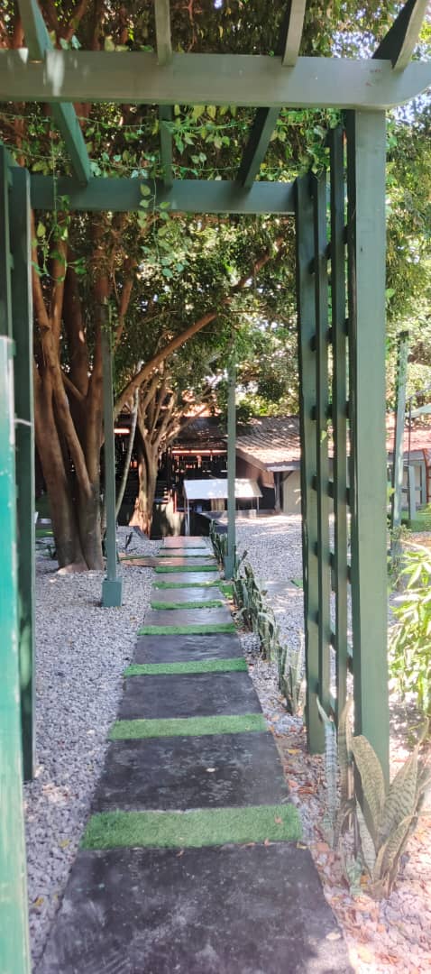 GideonSsekidde's tweet photo. Looking for a sign to treat yourself this week?
Nice place. Great food. Great vibes. Great company.
Make your midweek count at Backyard Bistro. Your next favorite meal is waiting for you.
Bugolobi
#BackyardBistro #Bugolobi #KampalaFoodies #SupportLocal #GoldenPosts https://t.co/nxgbaTJcSJ