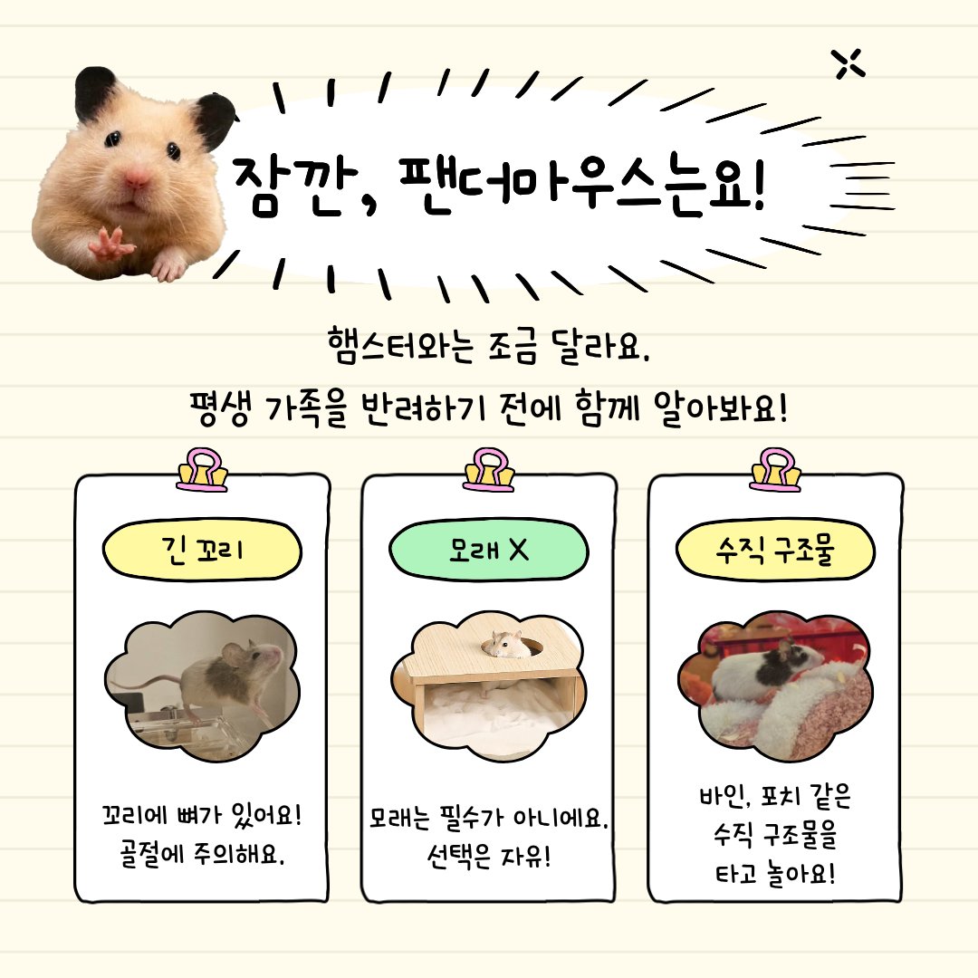 웅니 tweet media