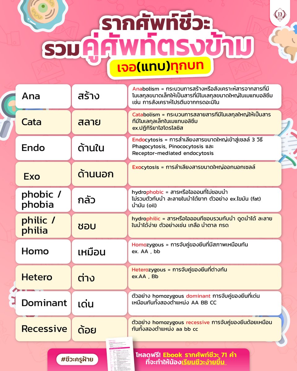 easybioKruFai's tweet photo. รวมรากศัพท์ชีวะ คู่ตรงข้าม
ที่เจอแทบทุกบท  ‼️

โหลดฟรี Ebook
รากศัพท์ชีวะ 71 คำ

กติกา
📍รี + เฟบ โพสต์นี้ (แคปหลักฐาน)
📍แอดไลน์ @easybio 💬พิมพ์ 071
พร้อม(ส่งรูปที่แคป) ส่งทางไลน์

#ชีวะครูฝ้าย #dek70 #dek71 #dek72 #dek73 https://t.co/nVYuh1bOjH