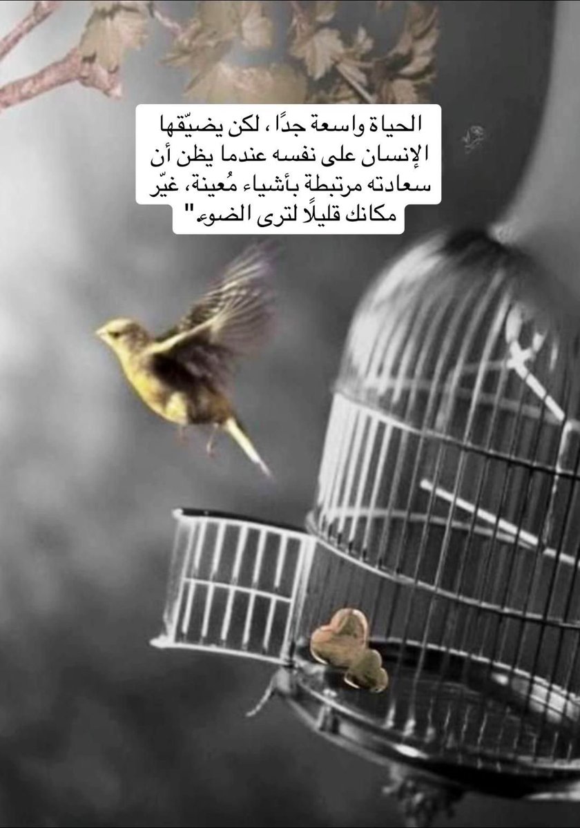 C2AII's tweet photo. #صباح_الخير_والسعادة

 " كل شيء يصبح جميلاً عندما نريد أن
 نراه جميلاً نحن أسياد أفكارنا .. https://t.co/CuAOIxSeKd