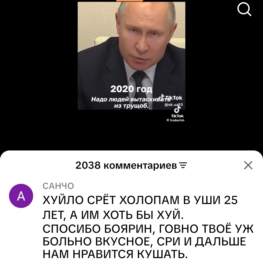 Бункерная моль. tweet media