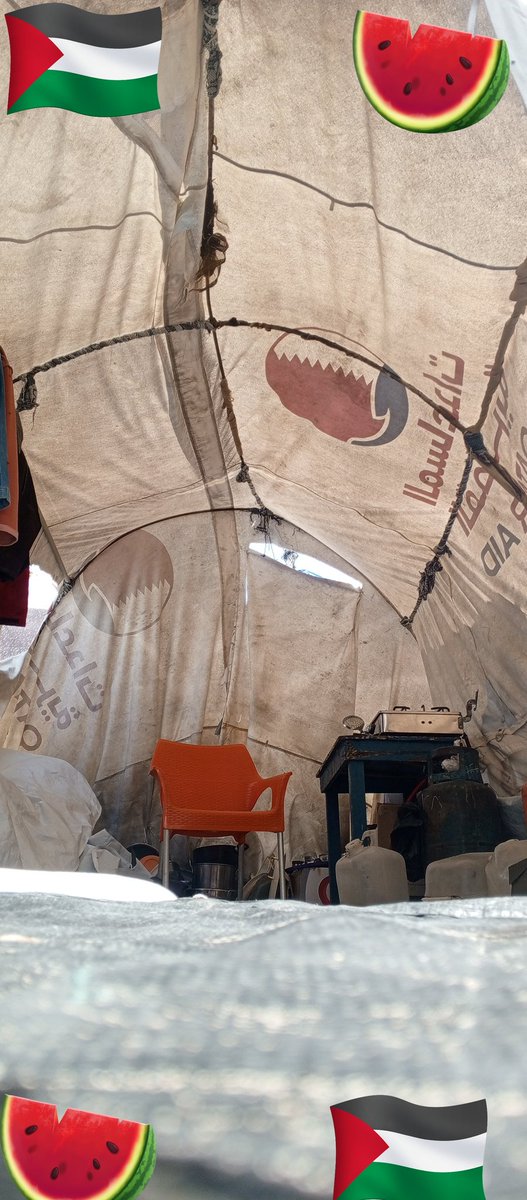 mostafa_sa25829's tweet photo. I don't know why this campaign stopped. I feel incredibly frustrated; it feels like the world has abandoned us. All we want is to live with dignity and have our basic needs met.
https://t.co/KoU2uLxwmF https://t.co/fiVVQmbrVv