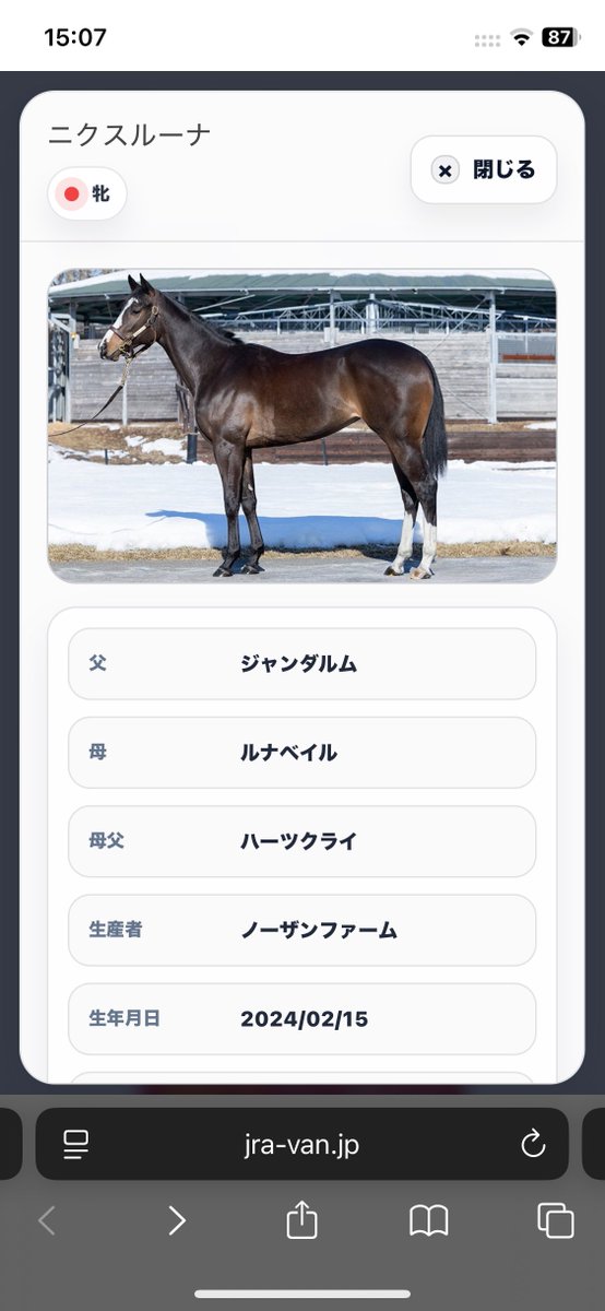 Contrailchan's tweet photo. 2026-27POGはこんな感じで行く

基本的に馬体見て走りそうだと思った馬をピックアップ。
ミーハー値低いとこだとバイコーンハットとニクスルーナが面白い。特に後者はジャンダルム産駒で攻めにいった。
厩舎も重視すると言った割に微妙なとこばかりに🤡 https://t.co/hmhU1fTECV