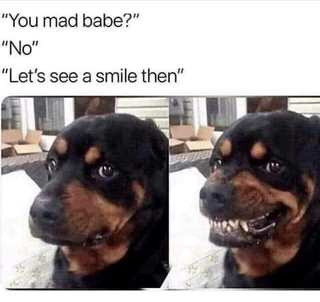 LadySayFuckALot's tweet photo. #DailyFunnies https://t.co/XVUqtZzhS4