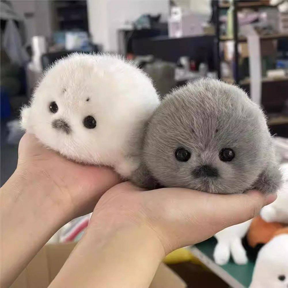 GOPudu_Sun's tweet photo. *OPEN PO GANTUNGAN KUCI DOLL ABU&amp;PUTIH*

💸  Ganci abu/ putih 23K DP 8K
💸  Ganci Onigiri 20k dp 8k
💸  Ganci Ungu 20k dp 8k

✅️ GO khusu barang china
https://t.co/51Sk9ymL0J…
❌️ Pack
🏡 Solo

TESTI 
https://t.co/1QVYM4jyQS https://t.co/qQdbVAxmhr
