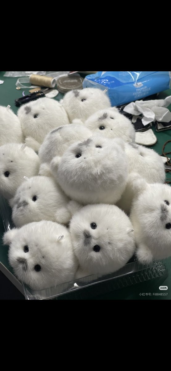 GOPudu_Sun's tweet photo. *OPEN PO GANTUNGAN KUCI DOLL ABU&amp;PUTIH*

💸  Ganci abu/ putih 23K DP 8K
💸  Ganci Onigiri 20k dp 8k
💸  Ganci Ungu 20k dp 8k

✅️ GO khusu barang china
https://t.co/51Sk9ymL0J…
❌️ Pack
🏡 Solo

TESTI 
https://t.co/1QVYM4jyQS https://t.co/qQdbVAxmhr