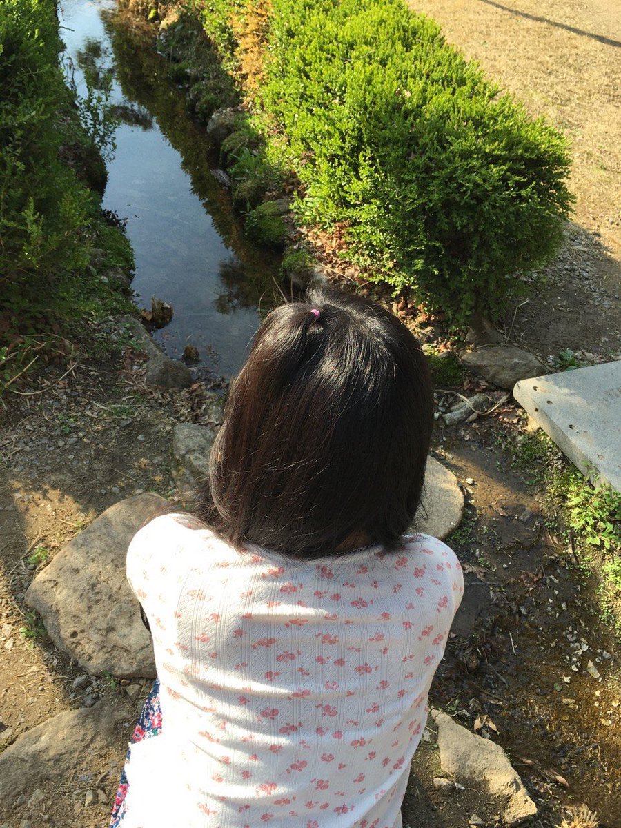 ininyaw 🐬🍋 tweet media