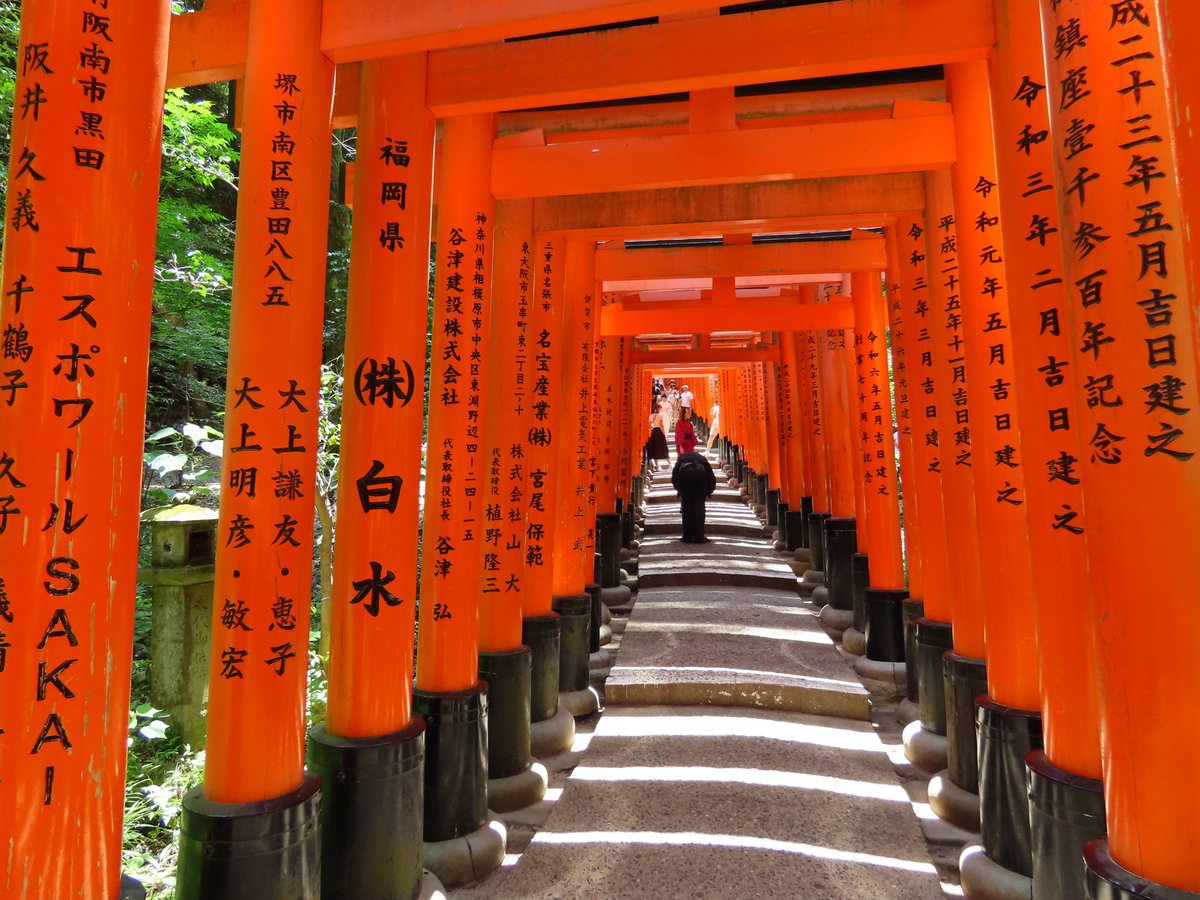 NoRouteExplore's tweet photo. We need more photography on X!  
If you agree post a picture you took. https://t.co/s6rGRpzJfj