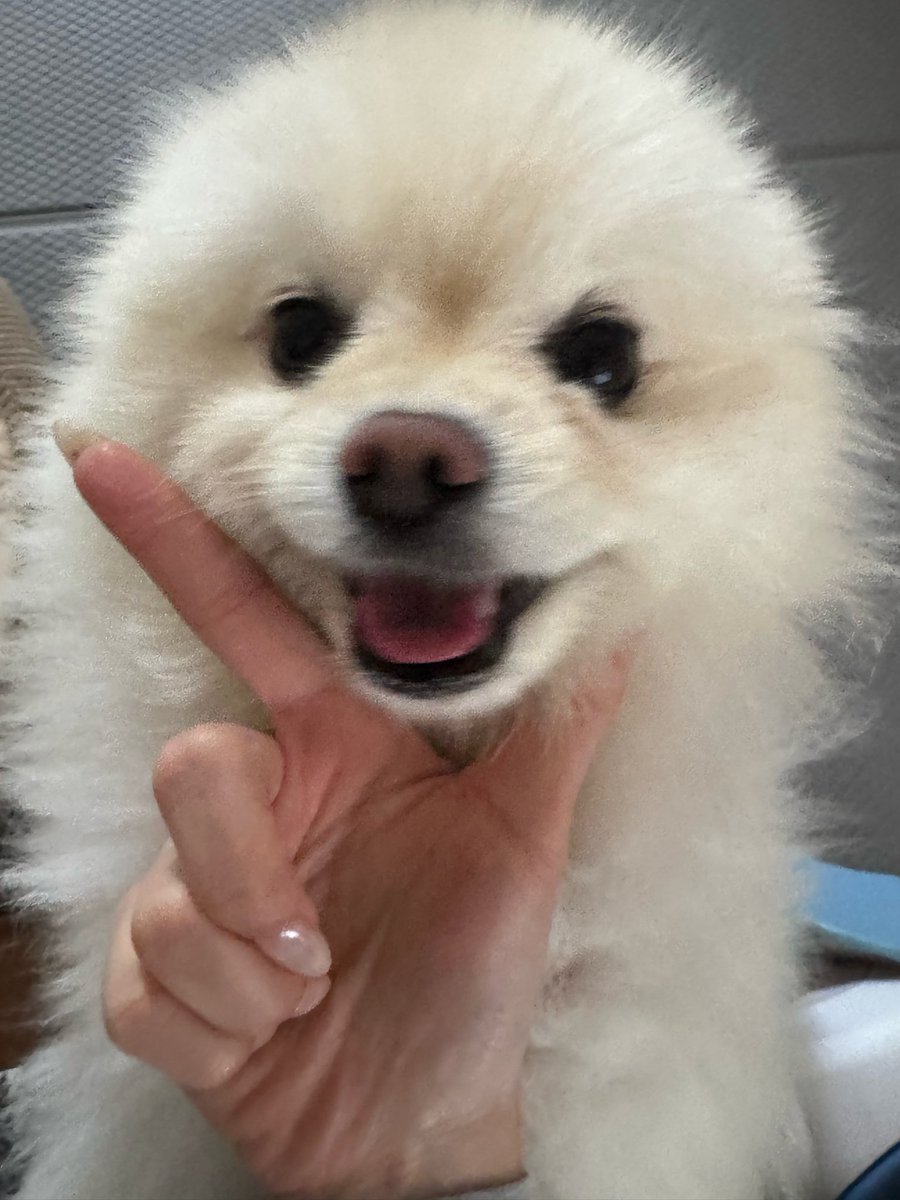 gapyeonghaus's tweet photo. [260604]
#tripleS Sohyun fromm update 🐺

#SoHyun #소현 #박소현 #ソヒョン https://t.co/FgtS8dI3SX