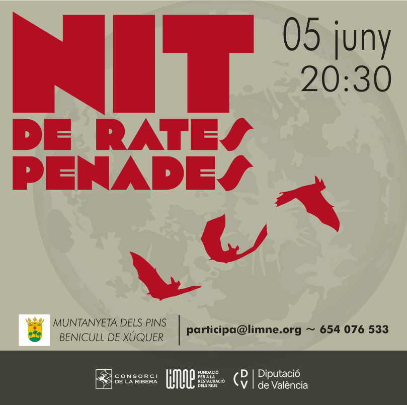 FundLimne's tweet photo. Cap de setmana amb Limne:

🦇 Divendres 5/06 (20:30h): Nit de rates penades a Benicull de Xúquer.
💧 Dissabte 6/06 (10:30h): Inspecció del riu a Turís.
Vine a gaudir de la natura amb nosaltres! 🌿

Inscripcions: participa@limne.org / 654 076 533 📩

#Limne #Natura #MediAmbient https://t.co/ywisbzFSCy