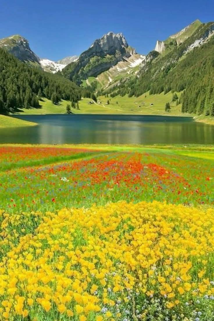 Earthpic613496's tweet photo. https://t.co/4vJZADtxUR