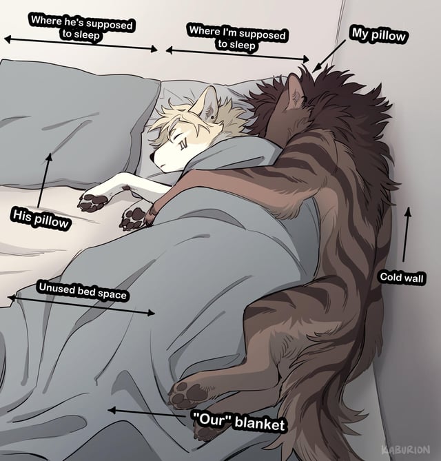 Frosty_Mutt's tweet photo. How me and my boyfriend sleep
(This is no joke btw) https://t.co/Hreun555ez