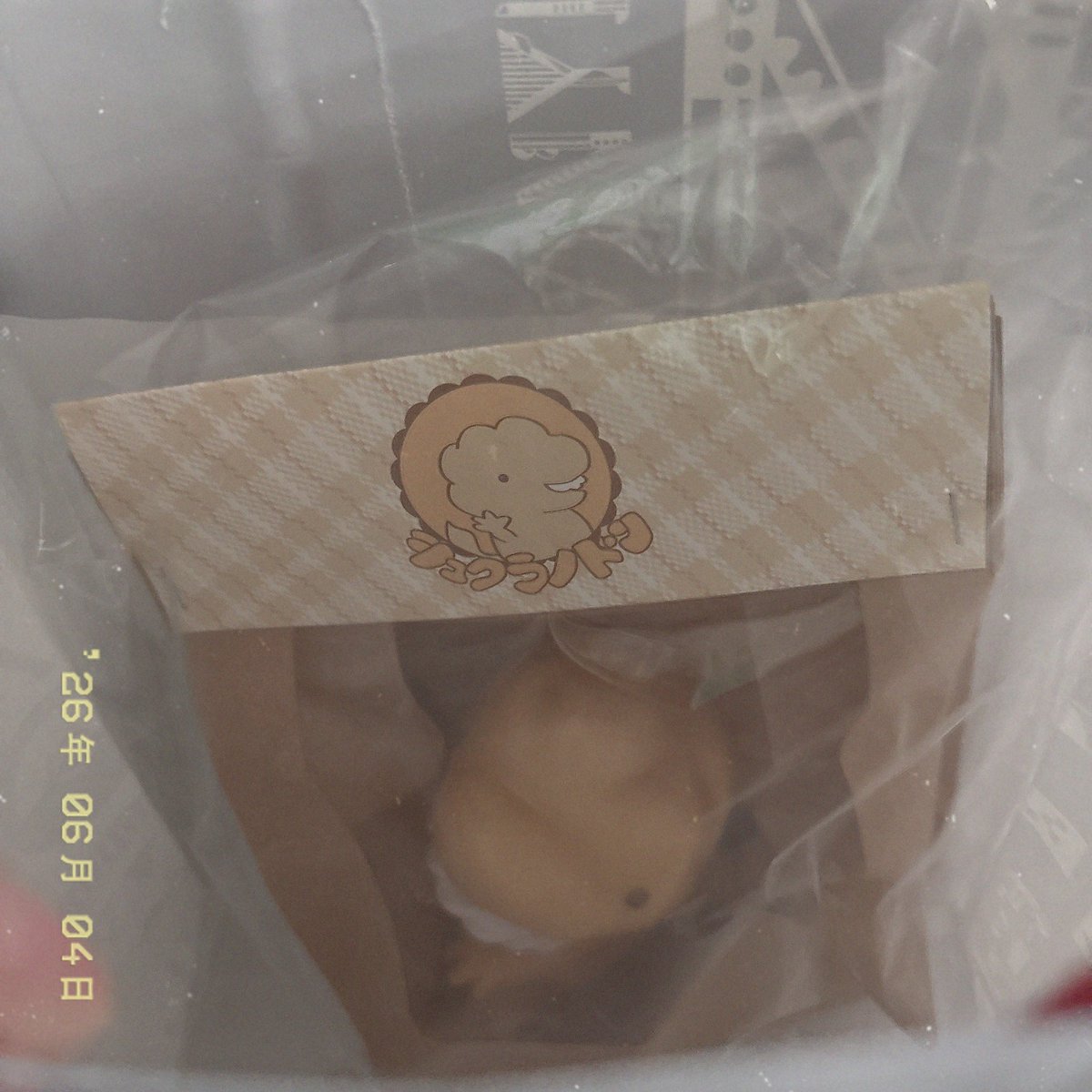 aya5rider0w0's tweet photo. 具合悪すぎて昨日もいけないし
オンライン売り切れちゃってたからないかな😭って思ってたけど行ってよかた
店舗には残っててくれてたうれしい😭😭
はじめてのソフビはシュクラノドン💛🤍
Xでみてかわいい🥹🥹って思ってて
ほんとにかわいいすぎる🥹🥹🥹🫶

#シュクラノドン https://t.co/751a79N1jH