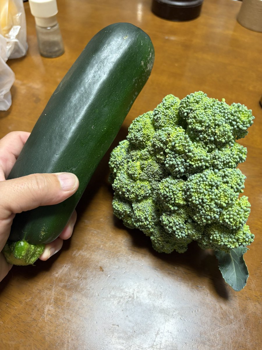 aquaskim's tweet photo. お隣さんから頂いたズッキーニ

太さも長さも負けた。。。 https://t.co/Eb9XO4ndaC