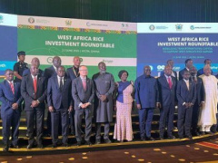 TogoFirst's tweet photo. Accra roundtable calls for increased financing for West Africa's rice industry https://t.co/gbB7gx9PCz https://t.co/kzVir7pa3Q