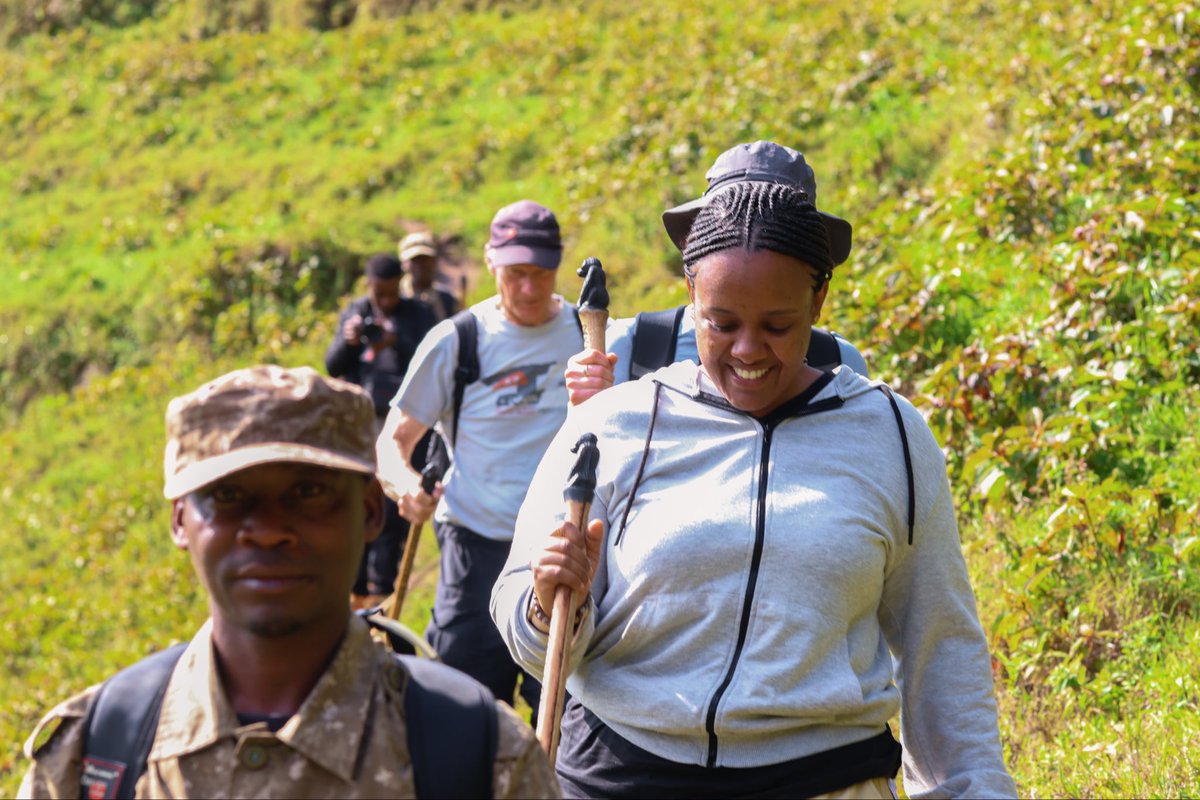 every_thing_ug's tweet photo. You don’t go gorilla trekking to find gorillas.

You go to experience the silence of an ancient rainforest, the anticipation of every step, and the unforgettable moment you lock eyes with a mountain gorilla in Bwindi. 🦍🌿

One trek. One hour. A lifetime of memories

https://t.co/FFNBscxzzy

#EverythingUganda #BwindiExperience #ExploreUganda #GorillaTrekking #PearlOfAfrica