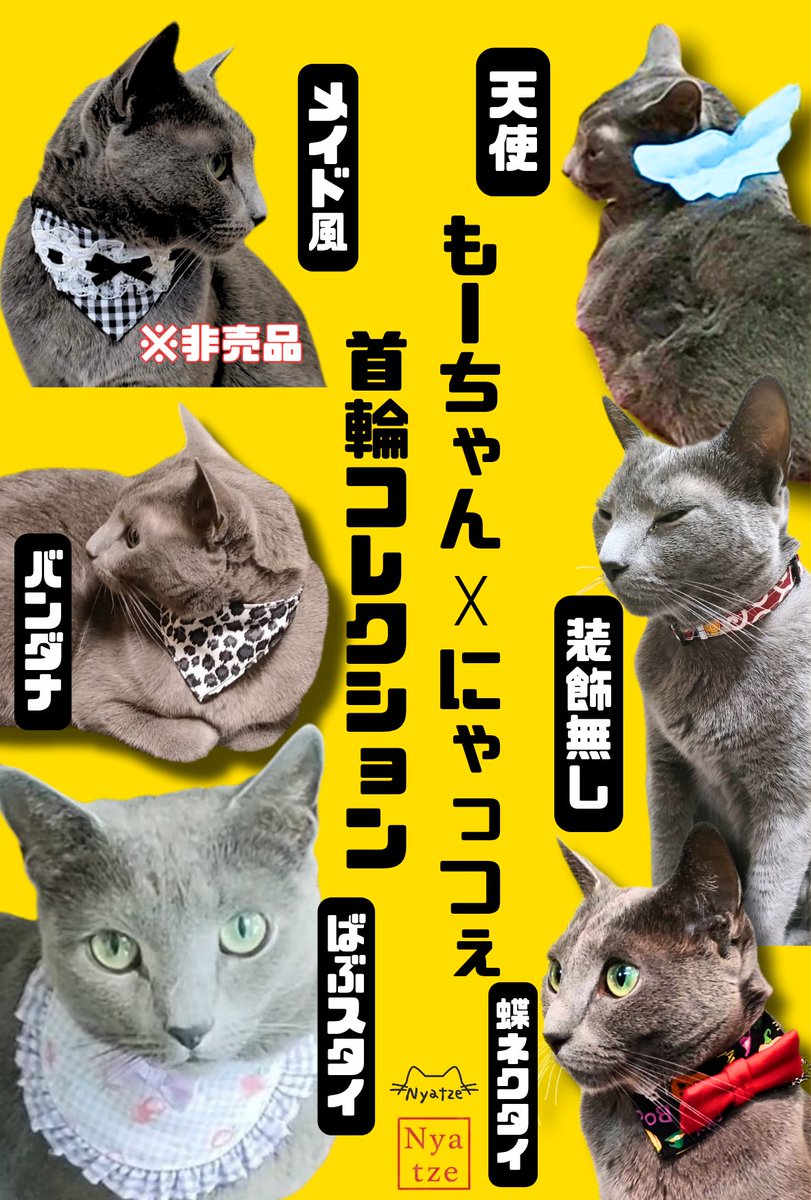 感謝価格(‗- ·̫ -‗^)ꪆ  ❤︎にあうかにゃロシアンブルー ✨本日6/4は #ロシアンブルーの日 ✨ ​Nyatzeのモデル猫ちゃんとして大