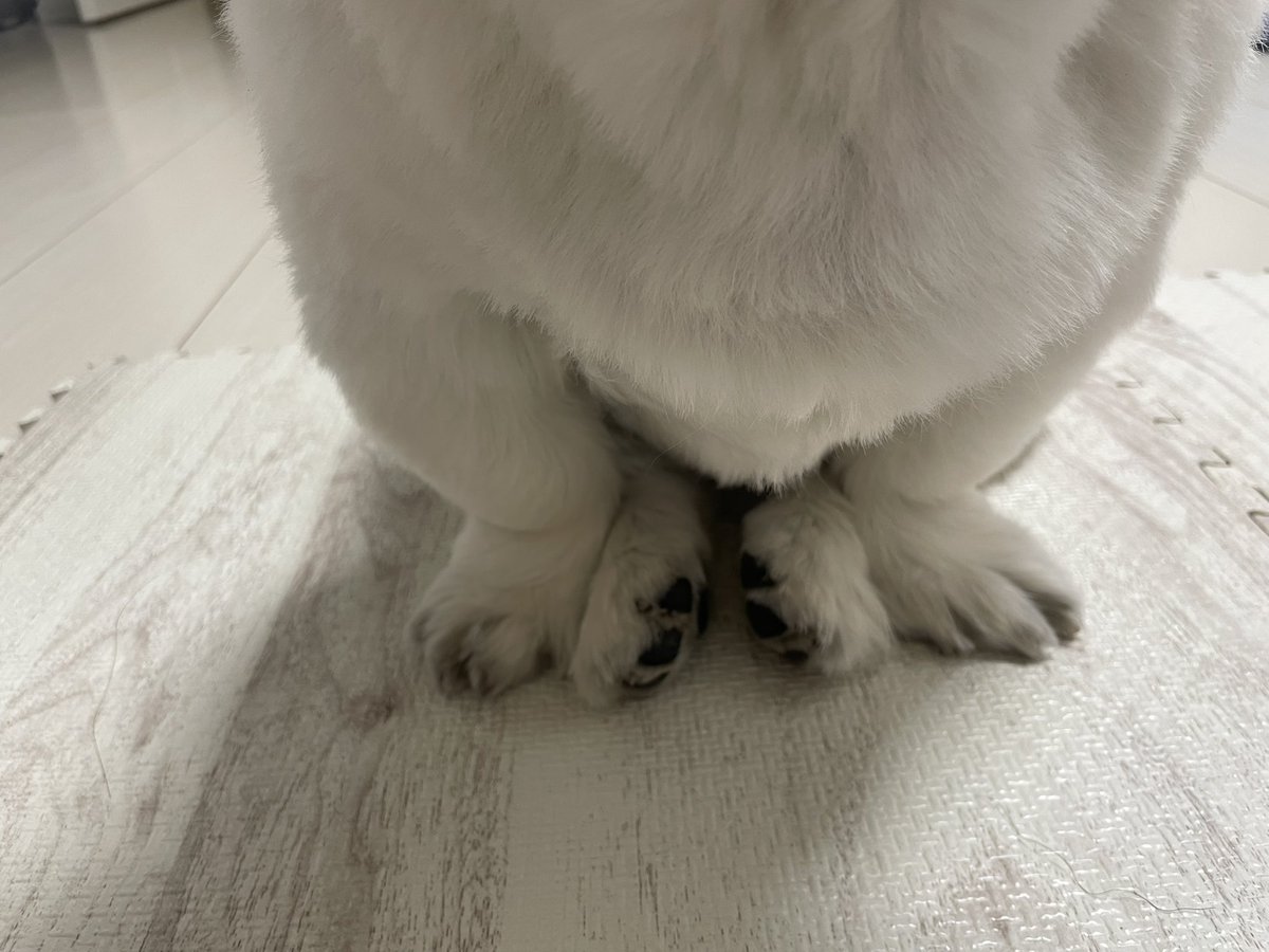 maaaaarshmallow's tweet photo. 集合！！！ https://t.co/6gtYqPX26G