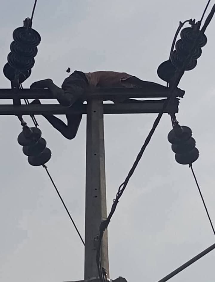 JosephLowolo's tweet photo. Si à Kikwit le manque d'électricité s'expliquerait par l'impossibilité de rétablir la ligne moyenne tension pour cause de présence d'une personne bloquée sur un pylône (ce qui est déjà incroyable 😅) ;

À Kinshasa, qu'est-ce qui serait à l'origine de l'instabilité chronique l de la desserte en électricité ?

Un hippopotame coincé dans la conduite forcée à Inga ?? 🙈 🤔😁

SNEL SA