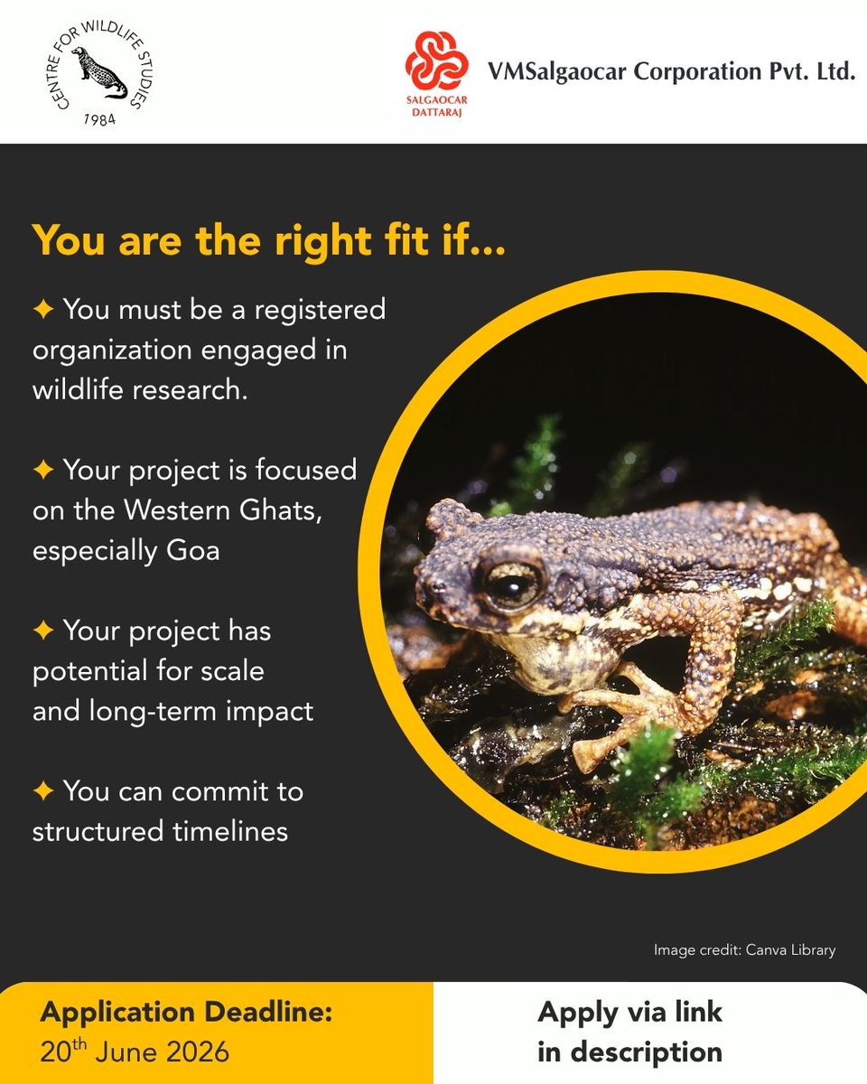 cwsindia's tweet photo. Applications for CWS' Wild Incubator Research Program are now open! To know more, visit our website. Link to Apply: https://t.co/ThynHF4QIK 

#WildIncubator #WildlifeConservation #WesternGhats #applicationsopen [grants, research grants, opportunity, wildlife conservation] https://t.co/pUKXF0b38c