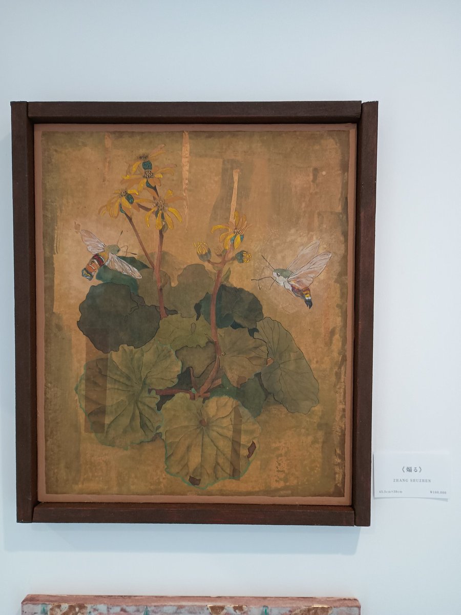 chie_botani's tweet photo. @oosukashibaka 先週末に日本画の作品展に行ったら、蛾女さんに見せたいオオスカシバの日本画がありました😆💖 https://t.co/juANMig5bB