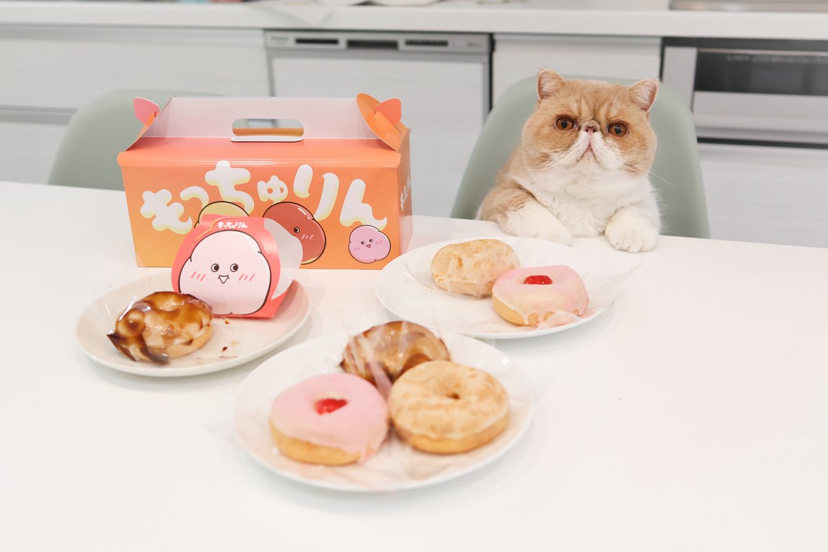 Poseidon_exotic's tweet photo. もっちゅりんと
我が家の動くもっちゅりん(きなこ)

 #もっちゅりん   #猫 https://t.co/goBpAjp359