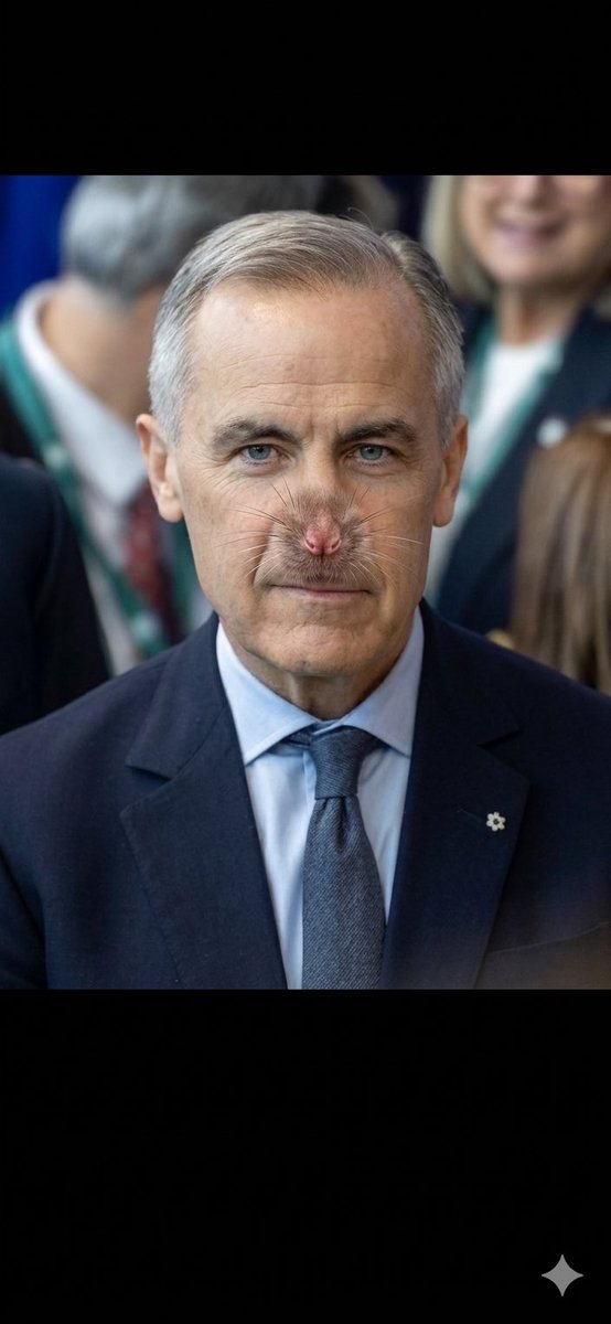 kerrybehave's tweet photo. If it looks like a rat and smells like a rat it is a rat. https://t.co/52wZRmwy3j