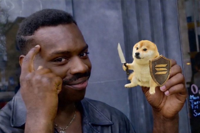 n00dlefry's tweet photo. @Buck96p @shax_btc ask the right questions and always come out on top

what the dog doing https://t.co/1XFm0IGtHz