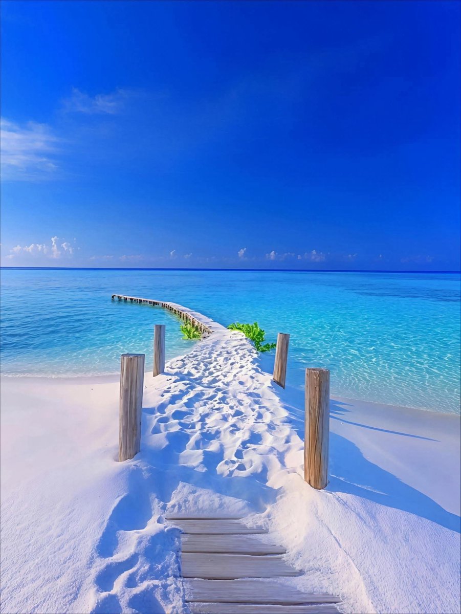 Hana_b30's tweet photo. Crystal clear water and white powder sand at Maldives 🇲🇻🌊 https://t.co/xSBPFnf8f6