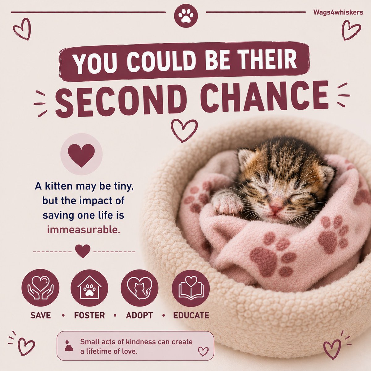 Wags4W's tweet photo. Found a kitten and don't know what to do next? 

Just brought a newborn kitten home and feeling overwhelmed?

You can be their second chance, second life ❤️.

#kittenlovers #kittenlife #adoptingkittens #kittenhealth #kittenhealthtips #catlovers #cats https://t.co/77N0Hqpkfv
