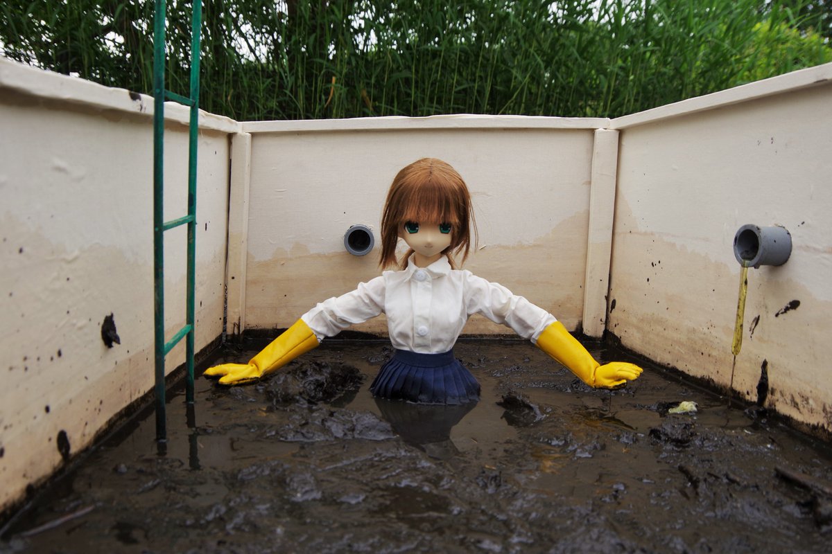 pet73359's tweet photo. リリア
５０ｃｍ　１／３　（アゾカツ https://t.co/v8cKVH7K62