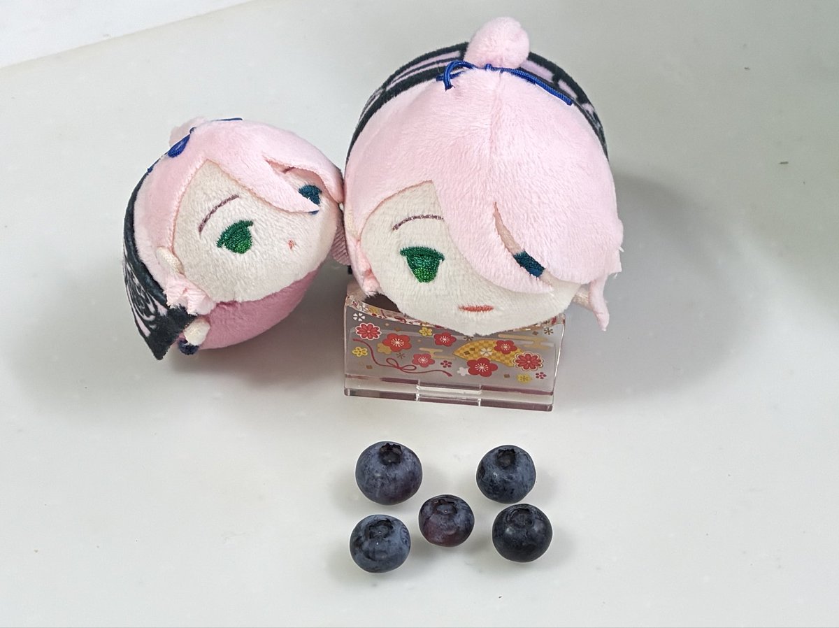 nm_mutsu's tweet photo. 今年初収穫のブルーベリー🫐
もちそざ(じーっ……👀) https://t.co/V9mPhFnFFP