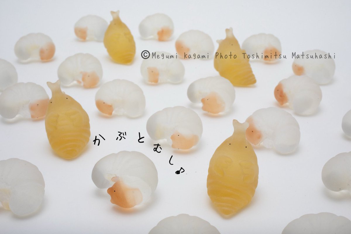 415megu's tweet photo. さなぎのつぎは､､､
#おとも #ガラス 
#ガラスのおとも #虫の日 
#カブトムシ https://t.co/UuTYXRpvf8