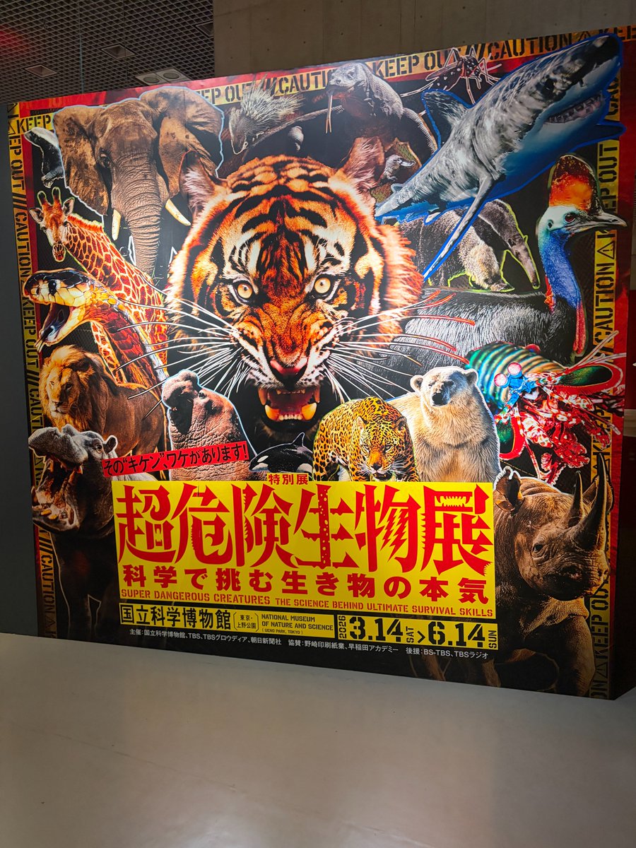 numagasa's tweet photo. 科博の特別展「超危険生物展　科学で挑む生き物の本気」今月までなので行った。色んな動物の物騒な能力や殺意高い特技が所狭しと並んで楽しかった。
多様に危険な動物たち（ヒト含む？）に囲まれているからこその特異な進化なわけで、「危険」な一面も周囲との関係性の中で育まれてきたのだなと学べる https://t.co/Sqyz7PUzyM