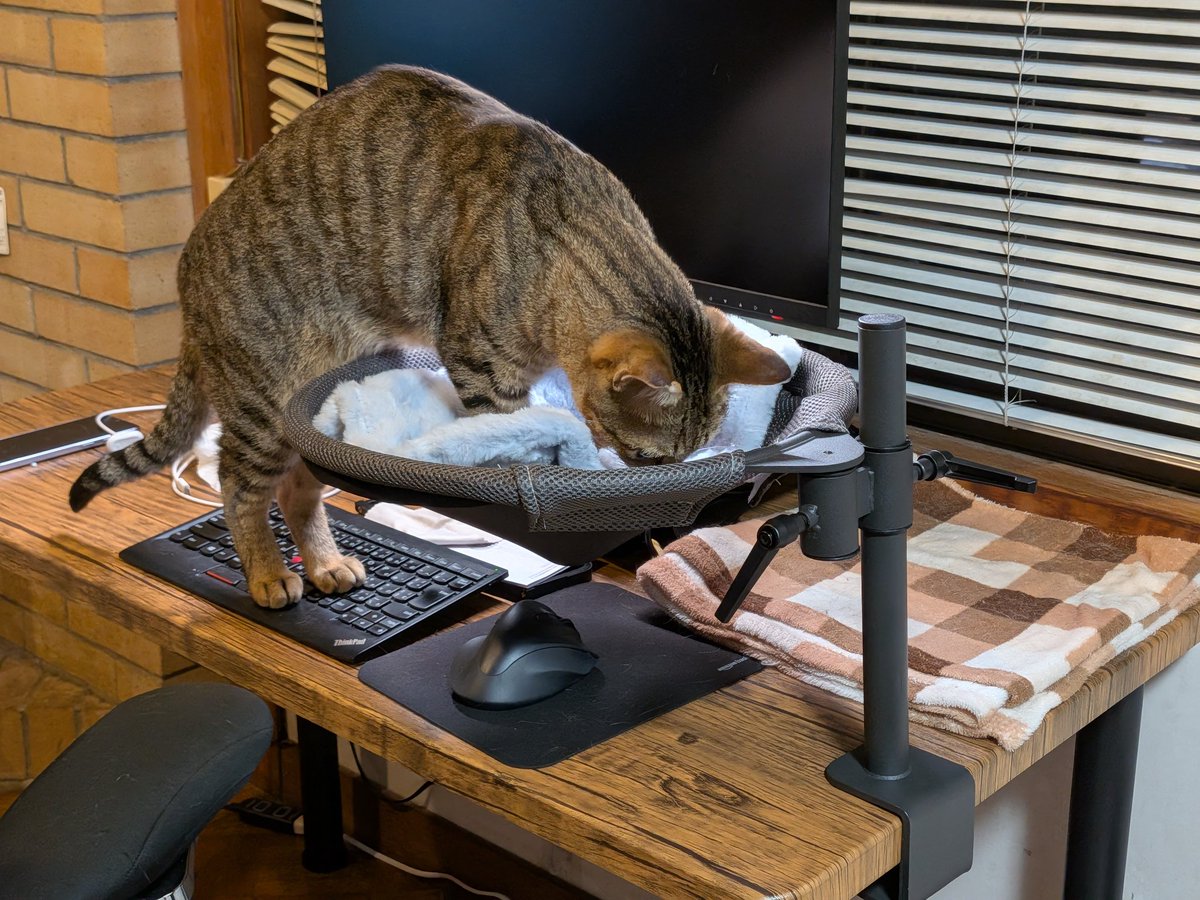 orefolder's tweet photo. デスクに付けられる猫ベッド買ってみたけど、けっこう怖いなこれ。 https://t.co/PlqtBJKjHW