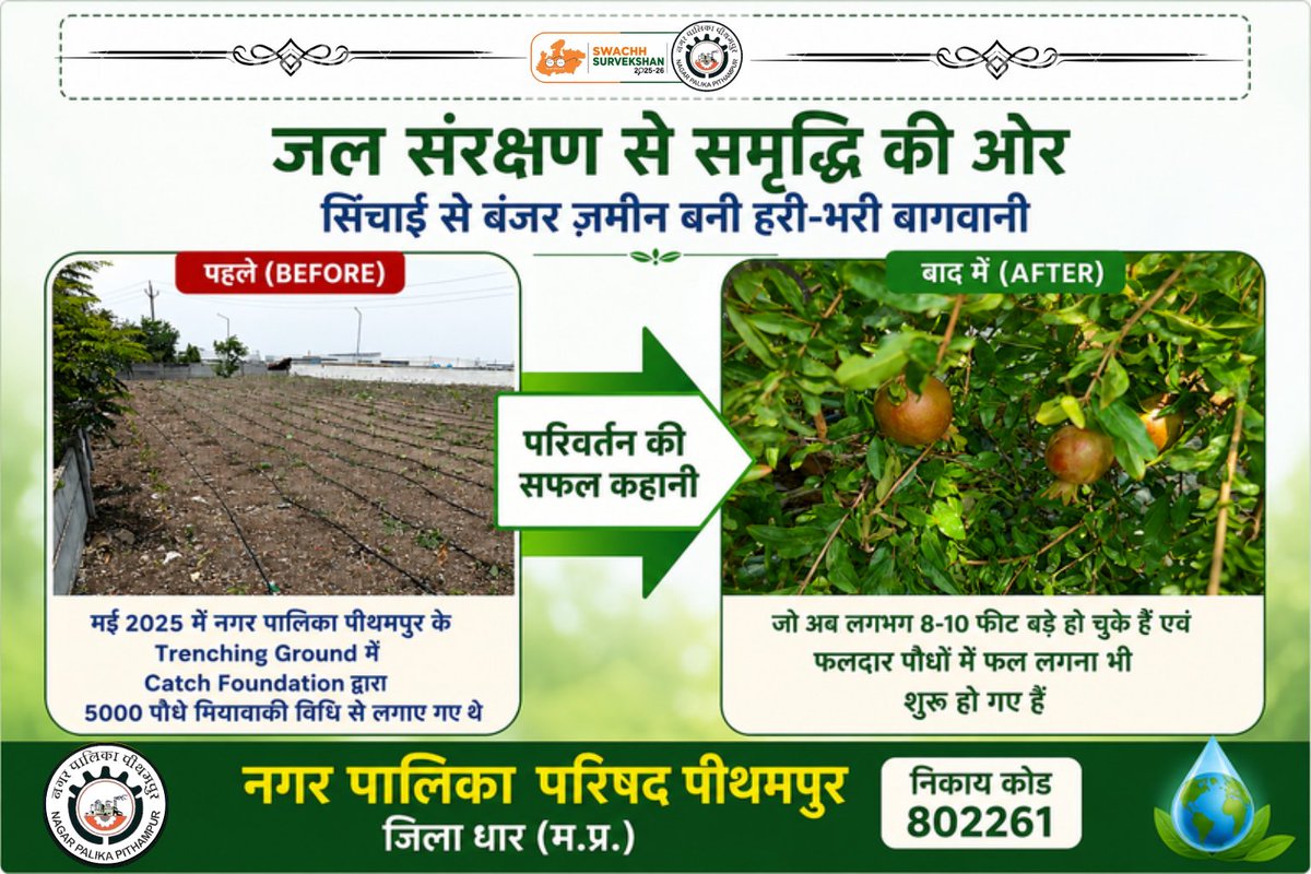 SPithampur's tweet photo. जल संरक्षण से समृद्धि की ओर सिंचाई से बंजर ज़मीन बनी हरी-भरी बागवानी
#pithampur_802261 #swachhsurvekshan2025
@SwachhBharatGov
@urbansbm
@MoHUA_India
@narendramodi
@CMMadhyaPradesh
@mlkhattar
@JansamparkMP
@KailashOnline
@collectordhar
@dadwivedi11 https://t.co/t7BNNnOGzv