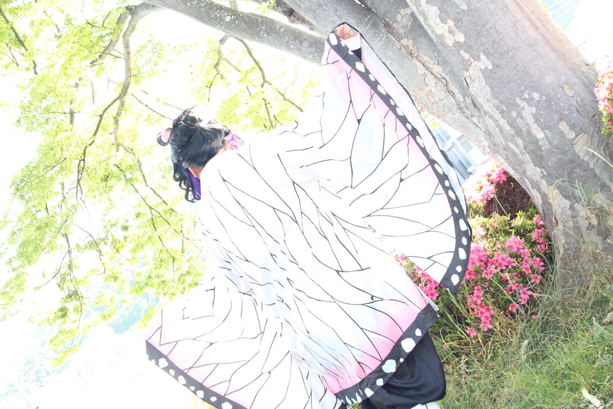 🦋 戯れ ◦° ────── kmt cosplay photographer まるちゃん