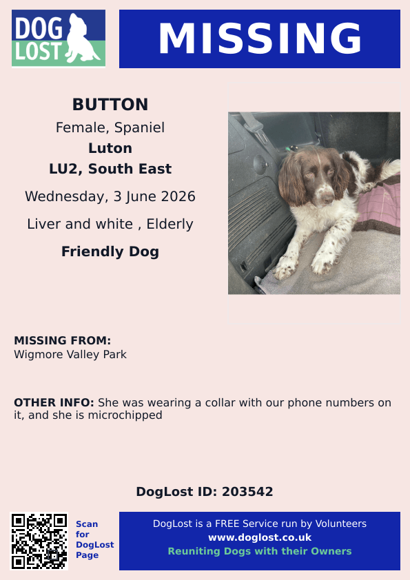 MissingPetsGB's tweet photo. 🐕 Please share  to help find #missing BUTTON from Wigmore Valley Park #Luton #LU2
Last seen 3 June 2026 when running in the woods like usual. 
She was wearing a collar with phone numbers on it, and she is microchipped. https://t.co/iwu6VRcnzJ https://t.co/AAXGvVIDnz