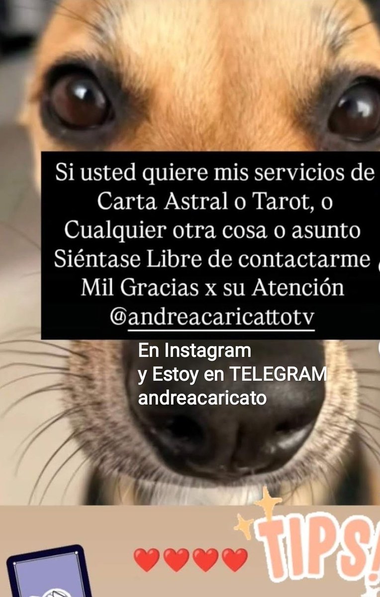 andreacaricatto's tweet photo. tip (3 ) 
Carta astral personal y Tarot en consulta 04123399154
Cáncer ♋ muchísimas oportunidades
LEO ♌ aguarda el momento oportuno
Virgo ♍ contempla opciones y toma decisiones 
LIBRA ♎ redundante en beneficios https://t.co/D31wiE3KlN