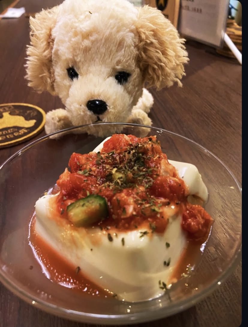 kemuseka's tweet photo. 夏メニューでトマトソース冷や奴インしました🍅
知る人ぞ知るでミカ奴もあります！
夏メニュー毎日ちょいちょい増えていきますのでお楽しみに✨️

今晩も22:30まで営業しております😊
どうぞ宜しくお願いします★

#けむりセカイ #燻製 #飲み
#飲み会 #お酒 #カウンター席 https://t.co/vfjlCgdQO9