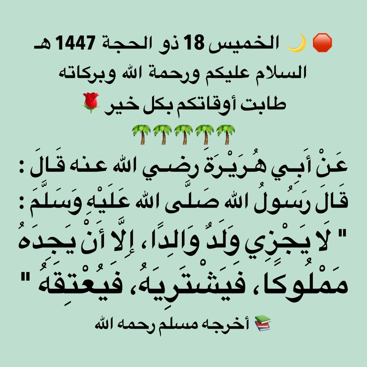 YusefMM's tweet photo. https://t.co/otVCsI46YP