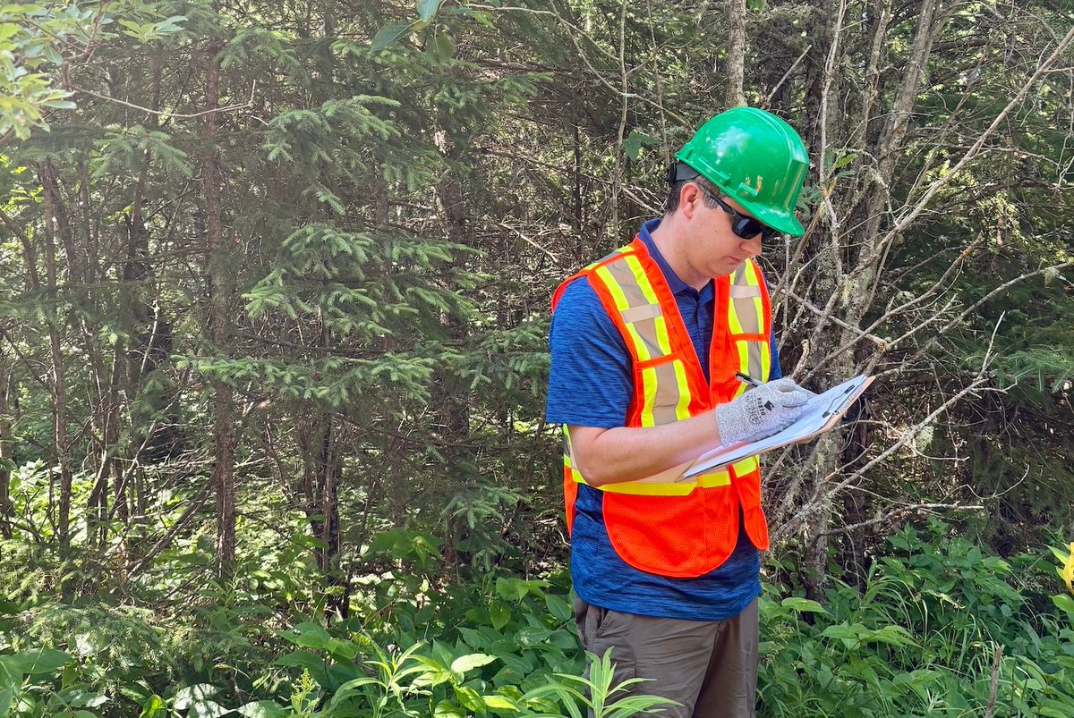 trellisgroup_'s tweet photo. The future of sustainability work may look a lot more interdisciplinary than people expect.

Case in point: P&amp;G hiring a forester. 

Learn more: https://t.co/4u7CLntqkQ 

#Climate #SupplyChain https://t.co/Ky5uS4Rplh