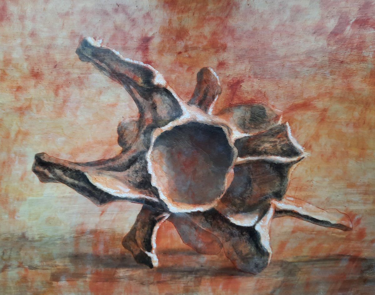 AppelsapKat's tweet photo. Finished bone painting #art #painting #artstudy https://t.co/4BDihgaOF4