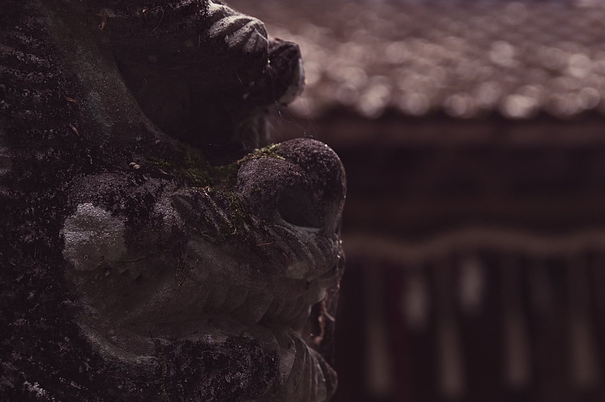 CyPm4f's tweet photo. #写真好きな人と繋がりたい
今日は休みだったんですけど朝から強めの雨が続いていてカメラもおバイクもおあずけでした☂️
なのでお先に失礼します🍻
本日も1日お疲れ様でした😊 https://t.co/RZgUJZsswb