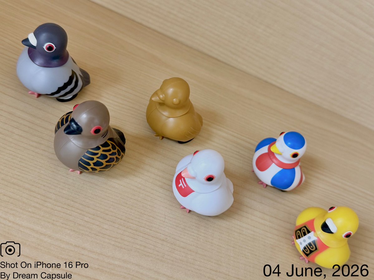 dreamcapsuleCEO's tweet photo. 🌟新入荷ガチャ商品プレゼントCP🌟

首をカクカクしながら駆け抜ける！ハトカーの鳩羽色も綺麗✨
「プルバックハトカー THE BEST！」

フォロー&amp;RP(RT)していただいた方の中から抽選で2名様に全6種セットをプレゼント🎁
ドリカプへの入荷日とキャンペーン詳細は↓

#ドリームカプセル #ガチャ専門店 https://t.co/brmP6rgTG7
