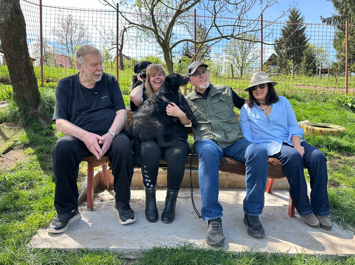 SavingStraysUK's tweet photo. So much love in these photographs, moments time of our trip recently with our incredible patrons @rickwakemanmusic @peter.j.egan and Rachel Wakeman and our Co Chairs @mariaslough_  and Peter 🐾🐾🐾 #team https://t.co/92Cv0R4HR9