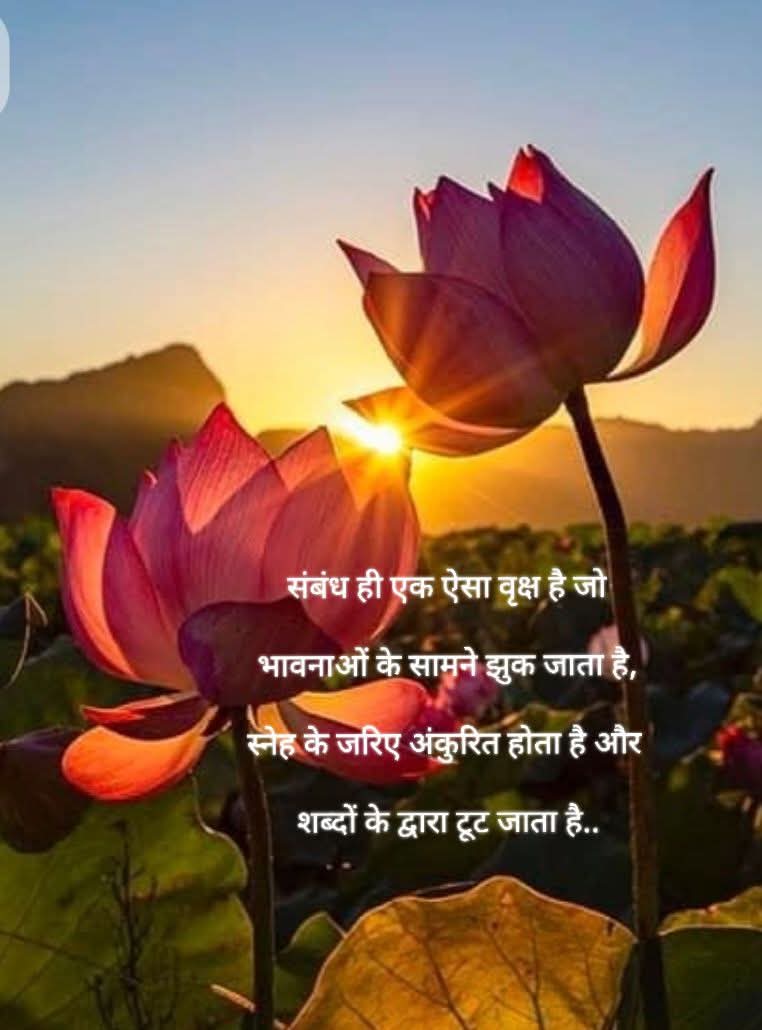 My_NationFirst's tweet photo. रिश्ते शब्दों से नहीं,
एक-दूसरे के लिए महसूस की गई परवाह से चलते हैं। https://t.co/1e9qYfOB8L