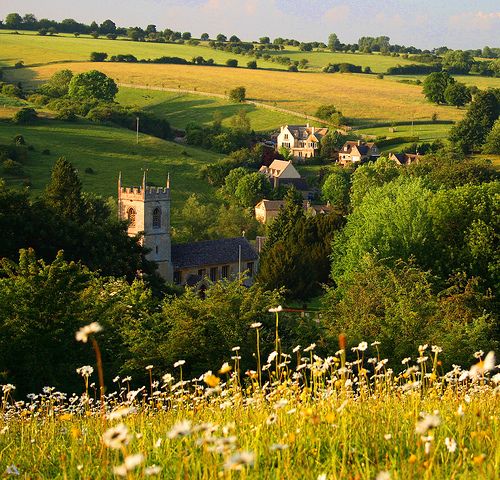 Natursee's tweet photo. England countryside https://t.co/daTS5uydrP